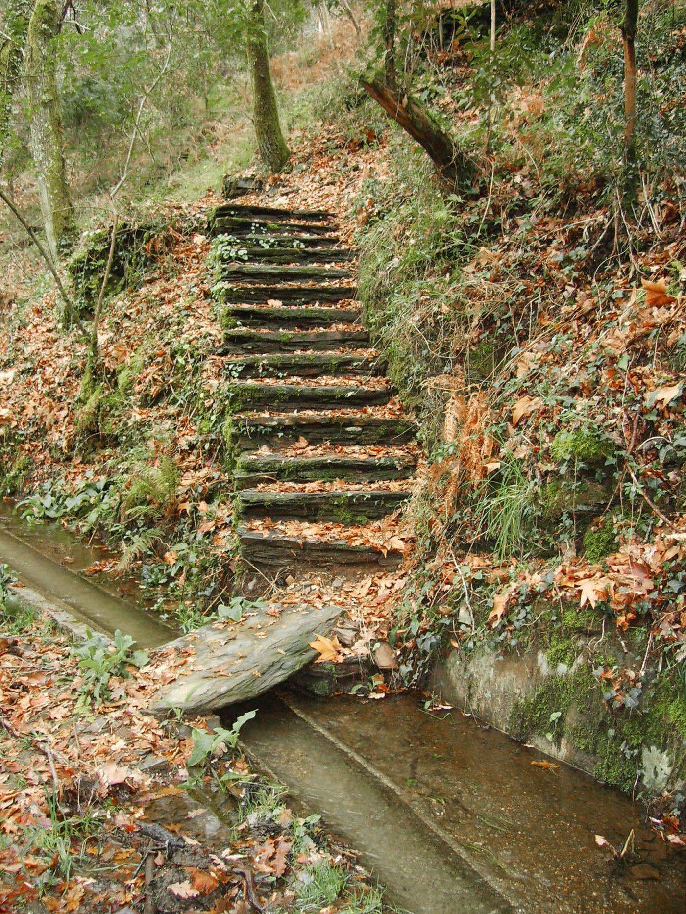 Parque das Serras do Porto está no terreno