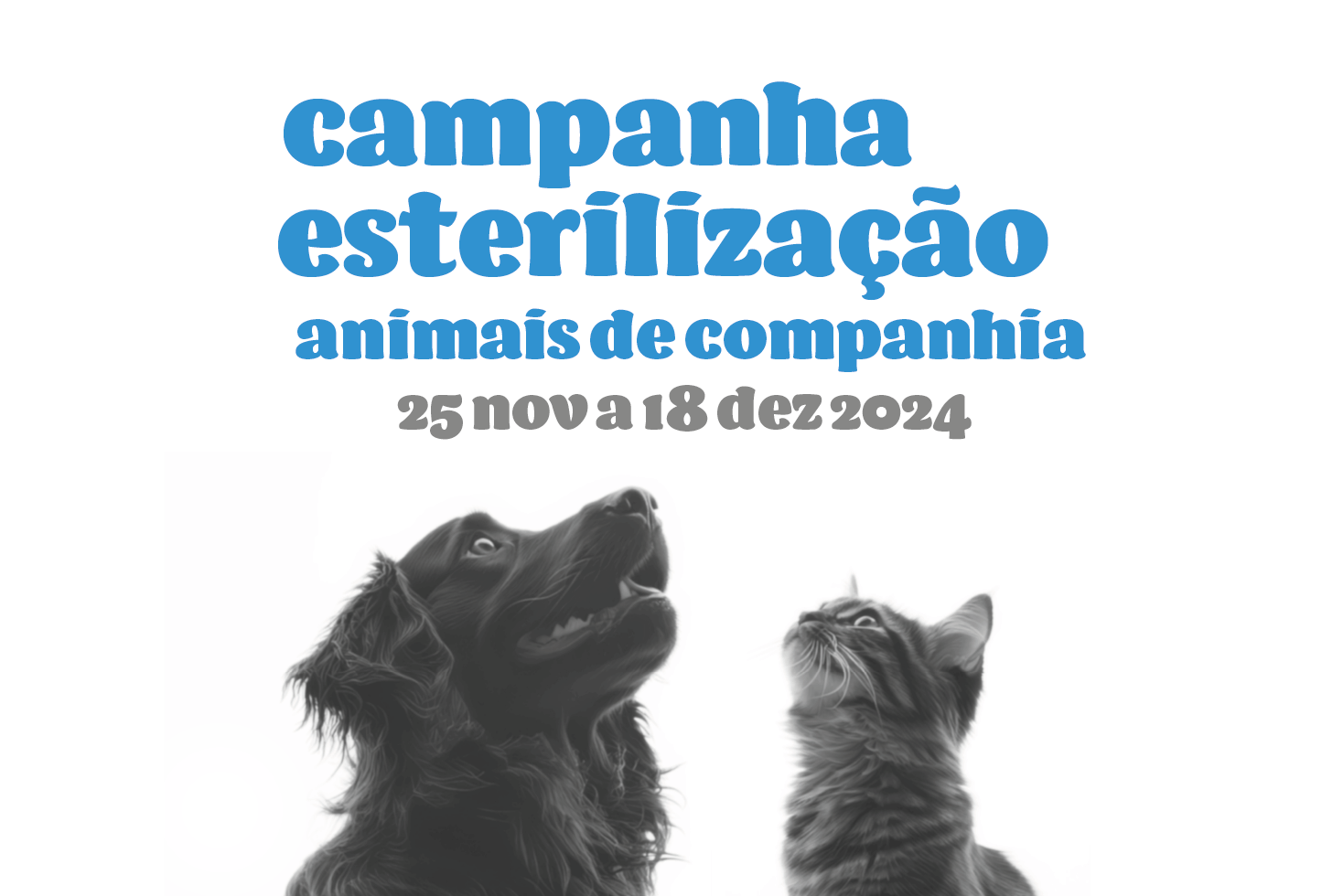 1100x734_Campanha-Esterilizacao-Animais-de-Companhia-1