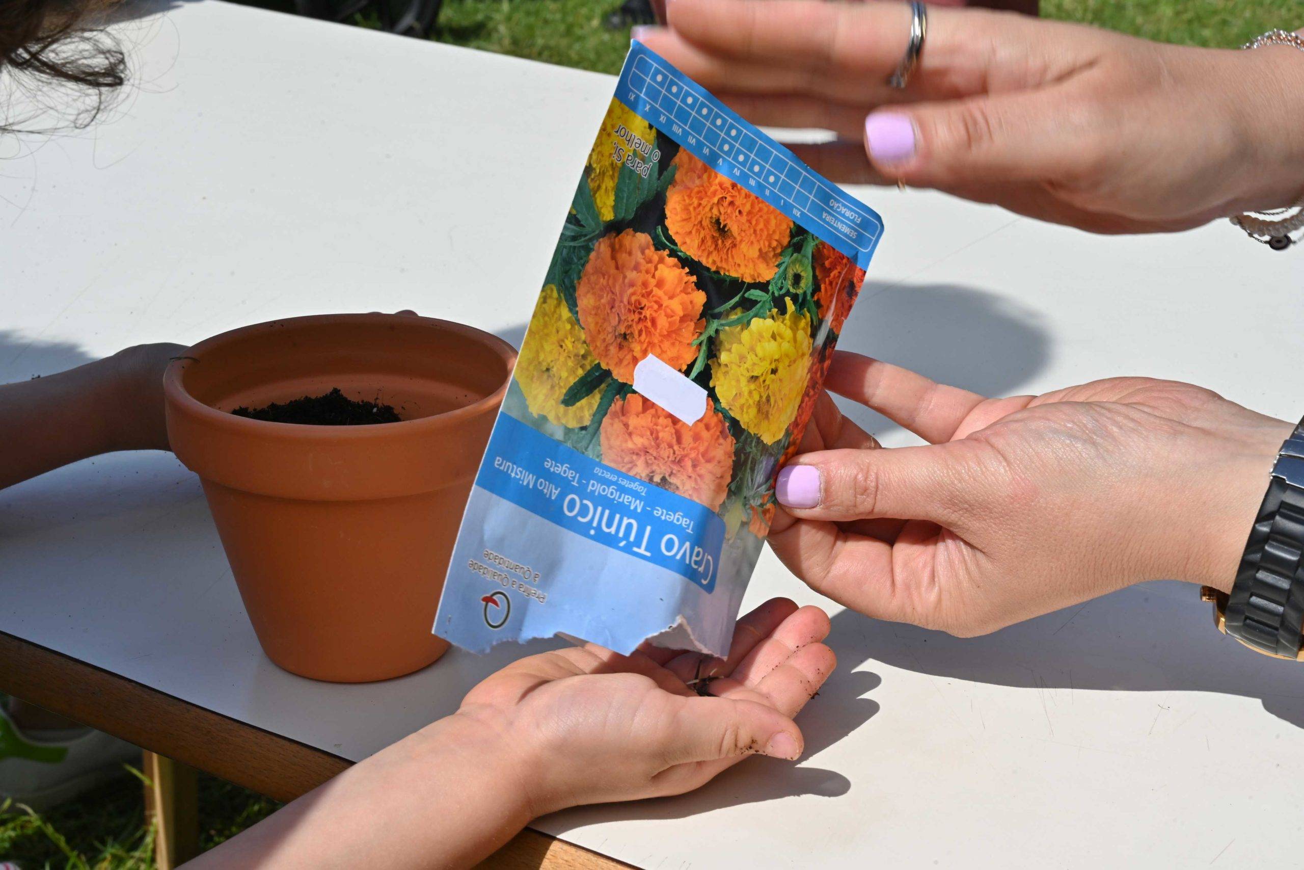 Município de Gondomar participa no BioBlitz Serralves 2025 com atividades para todas as idades 1
