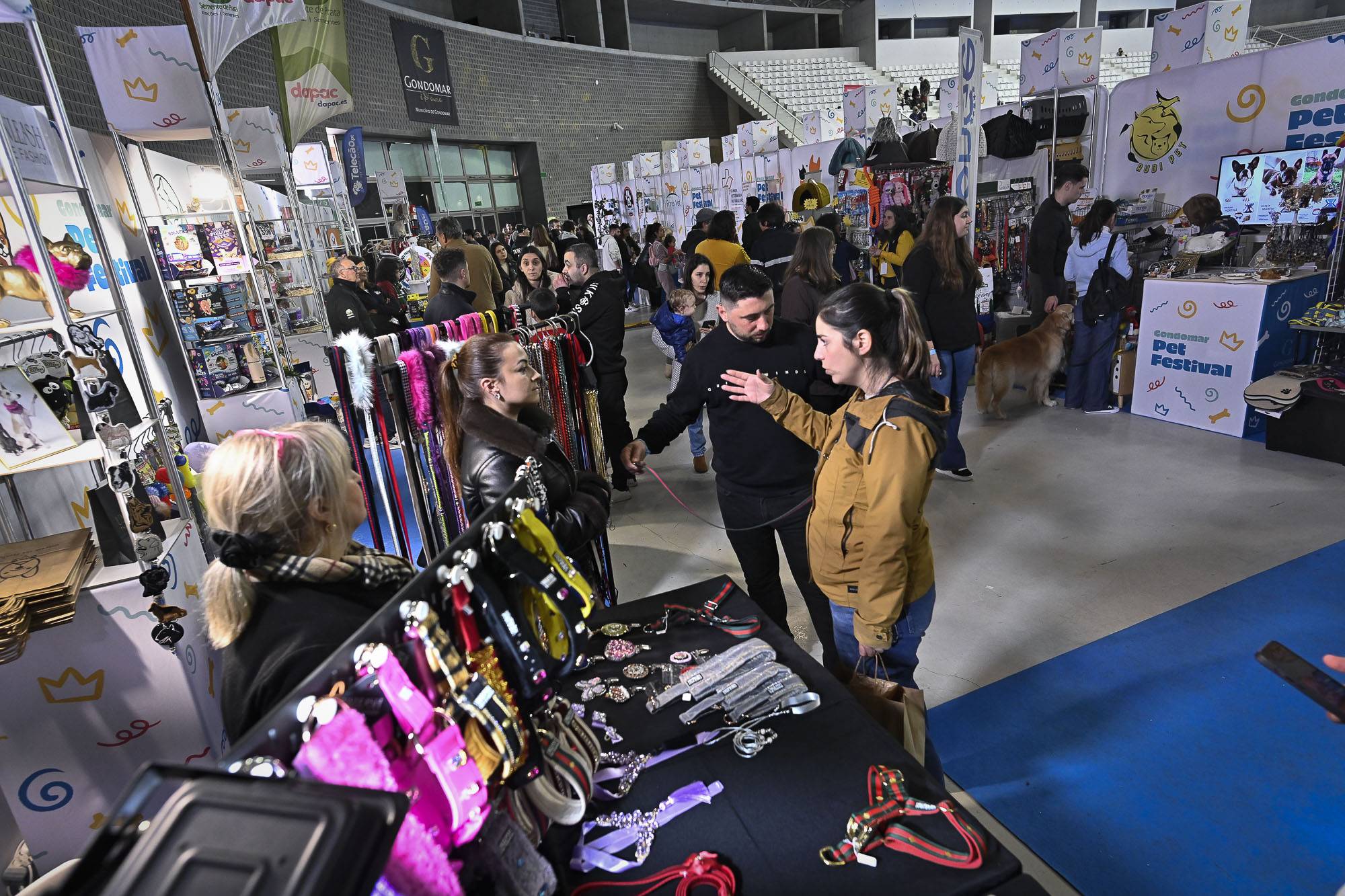 Gondomar Pet Festival 2025 recebeu 17 mil visitantes 3