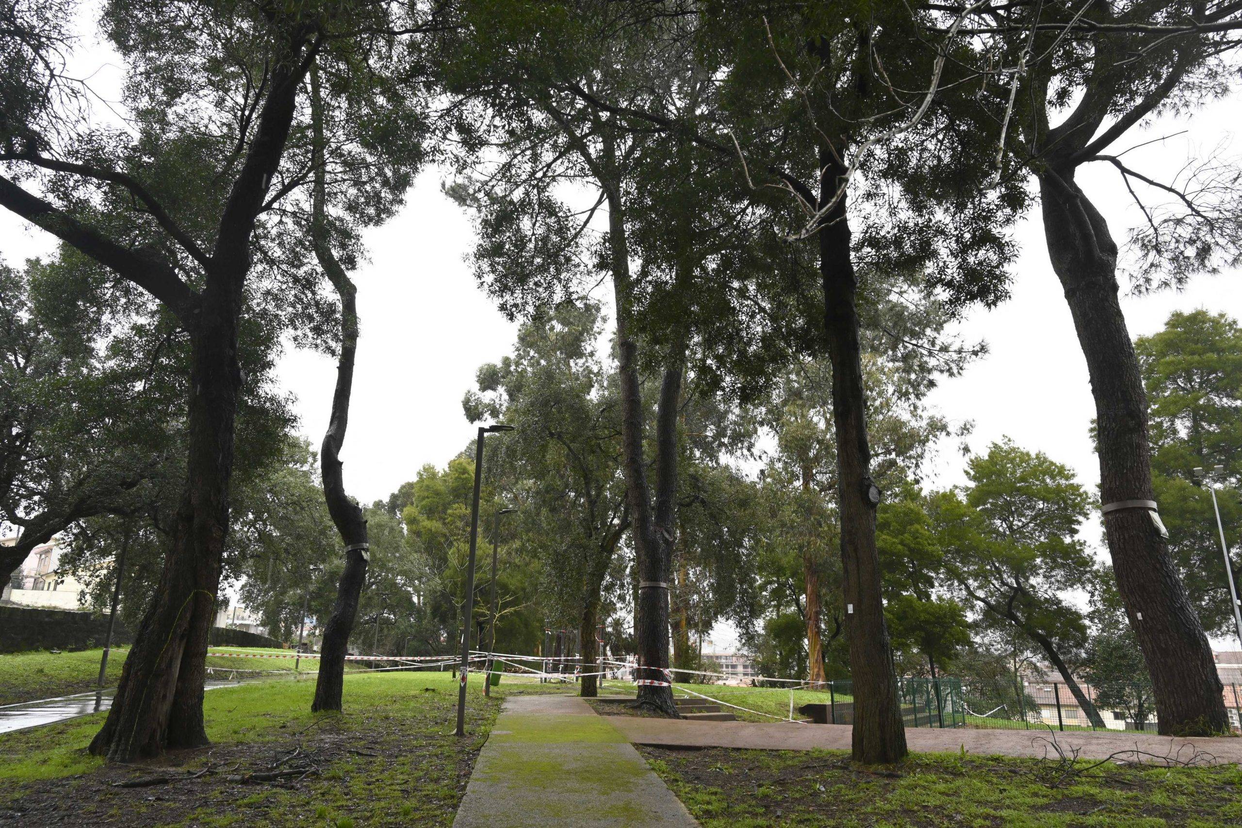 2.jpc_20210211_lpARQUE_URBANO_QUINTA_DAS_FREIRAS_170-scaled