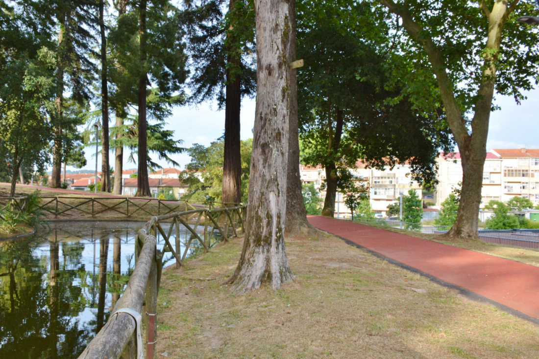 espacos_verdes_Ambiente19