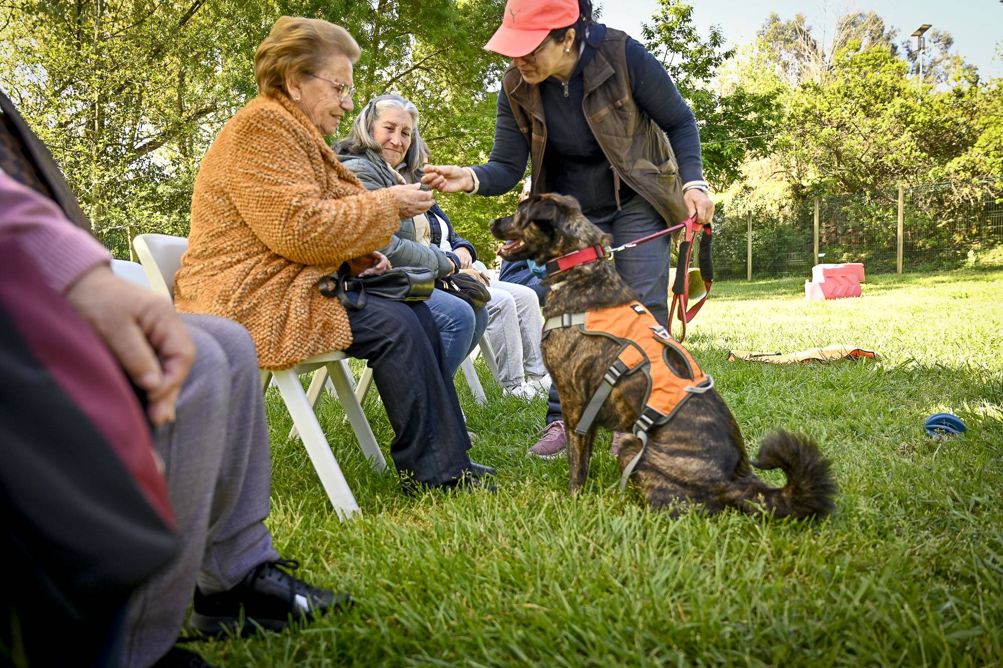 jpc-gondopet_0076
