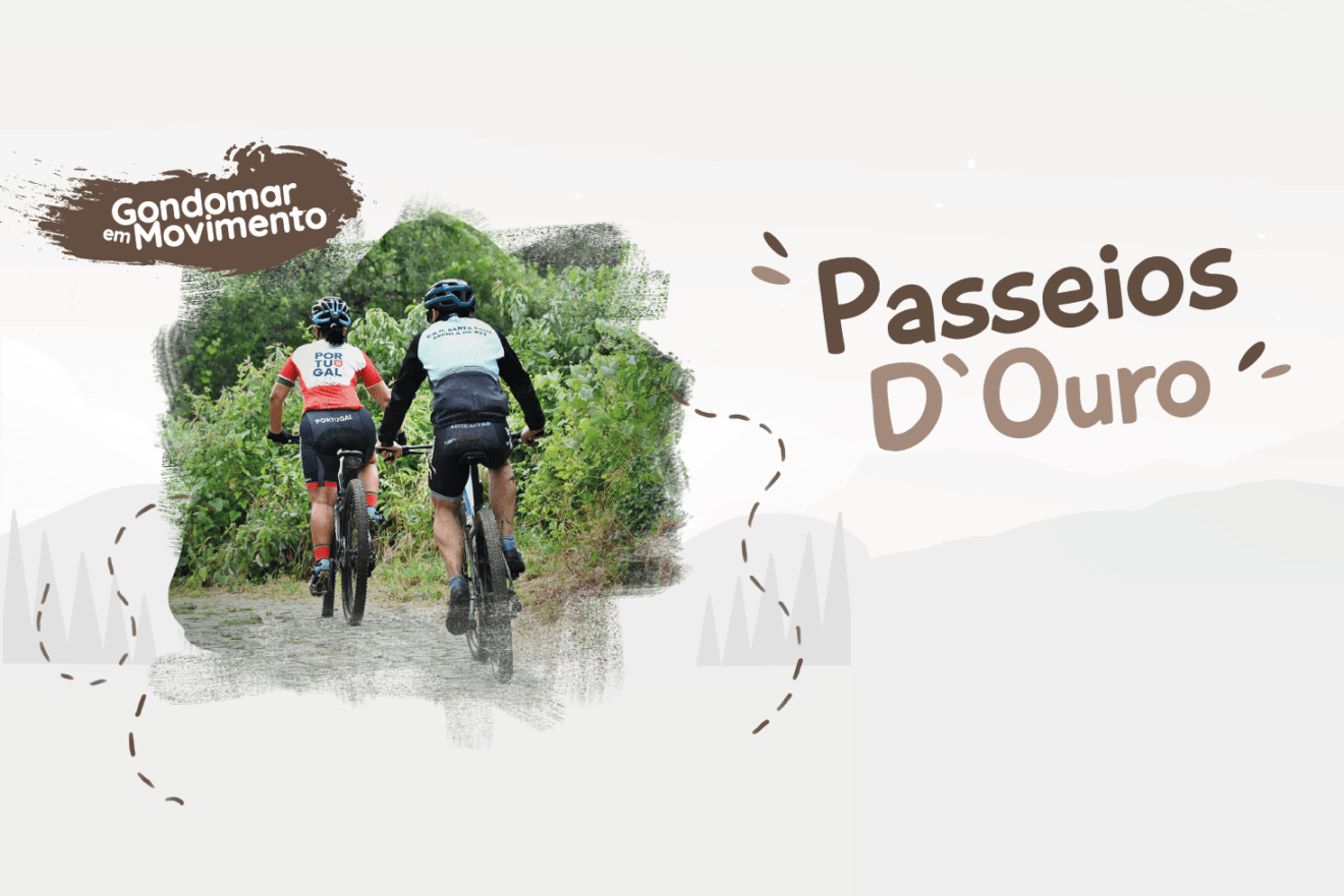 1100x734_Passseios_Douro_2025-1320x881