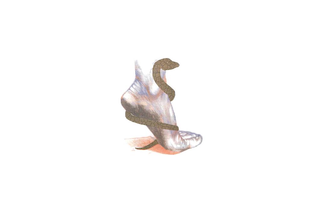 PodoSaude